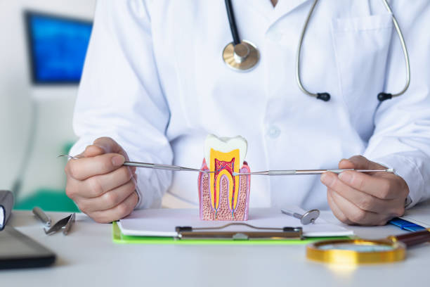 Best Emergency Dental Care for Trauma or Injury in St Marys, KS